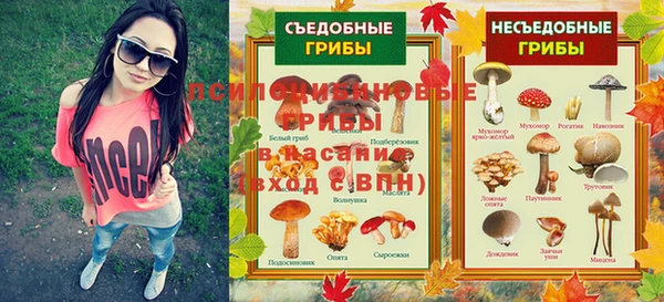 таблы Михайловск