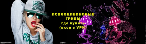 таблы Михайловск