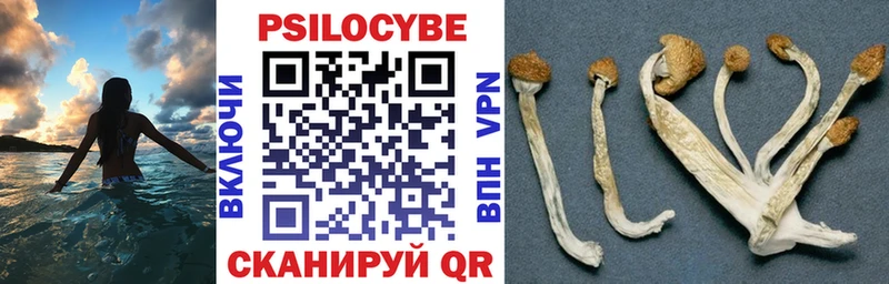 Галлюциногенные грибы ЛСД Стрежевой
